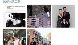 明星黑料大全,明星黑料大全深度剖析