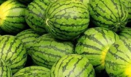 吃瓜网每日大赛 吃瓜大世界最新版下载,每日大赛，尽享吃瓜盛宴