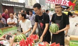 朝阳吃瓜群众网,揭秘娱乐圈幕后故事，带你领略不一样的娱乐圈